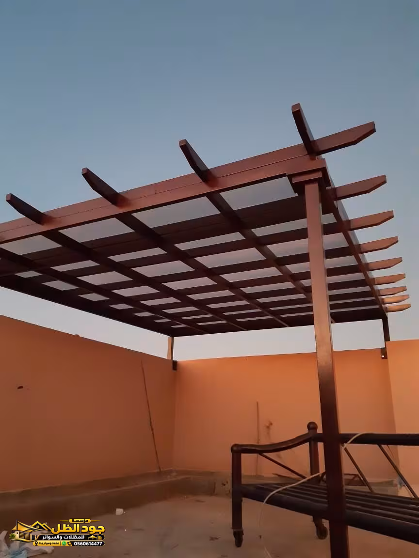 صورة المقال